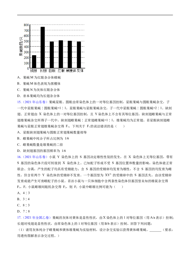 专题11伴性遗传和人类遗传病-五年（2019-2023）高考生物真题分项汇编（全国通用）（原卷版）_赠送：2008-2024全套高考真题_高考生物真题