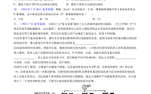 专题11伴性遗传和人类遗传病-五年（2019-2023）高考生物真题分项汇编（全国通用）（原卷版）_赠送：2008-2024全套高考真题_高考生物真题