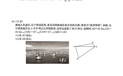 数学_2023年9月_01每日更新_27号_2024届河北省高三上学期9月百万金太阳联考（24-40C1)_河北省2024届高三上学期9月百万金太阳联考（24-40C1)数学