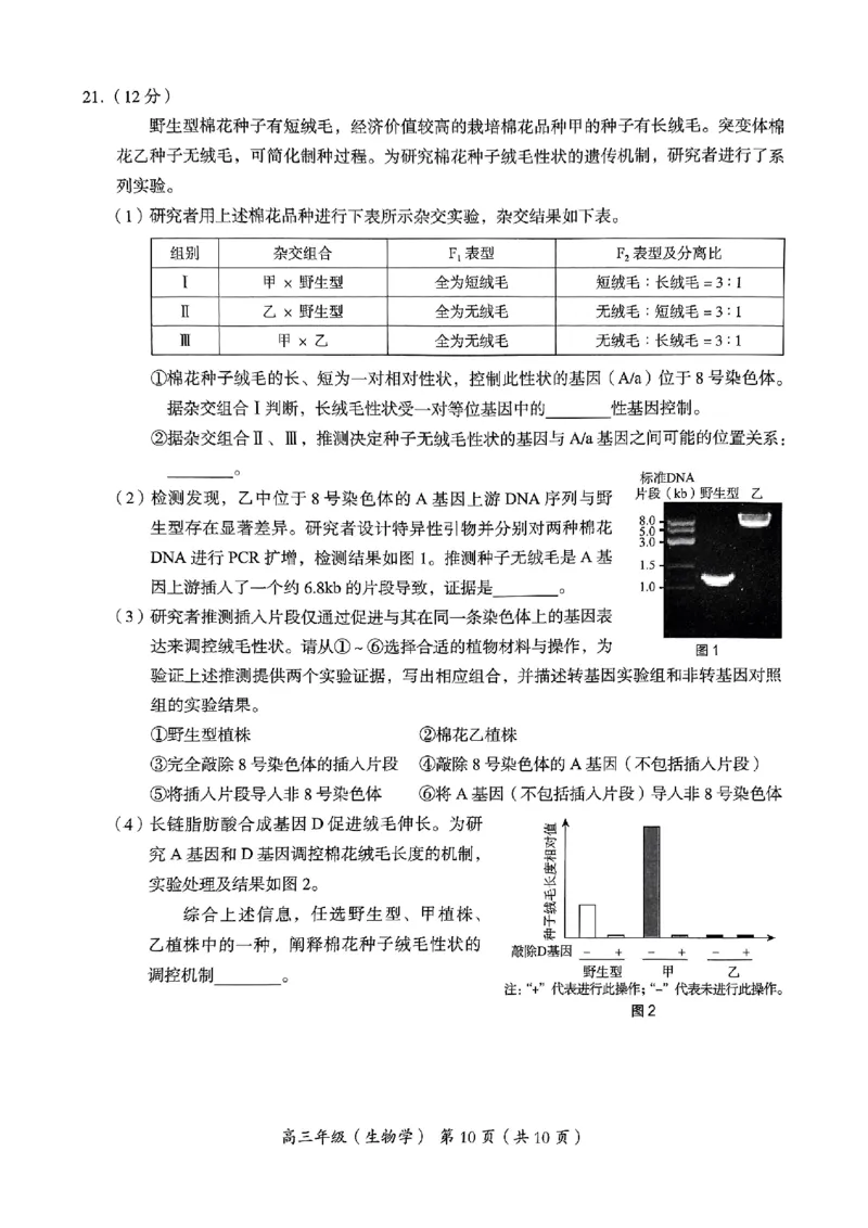 2024北京海淀高三一模生物试题及答案(1)_2024年4月_024月合集_2024届北京市海淀区高三一模