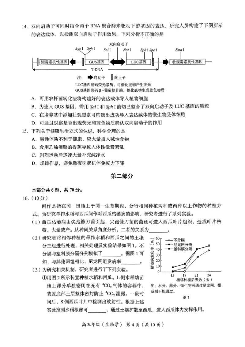 2024北京海淀高三一模生物试题及答案(1)_2024年4月_024月合集_2024届北京市海淀区高三一模