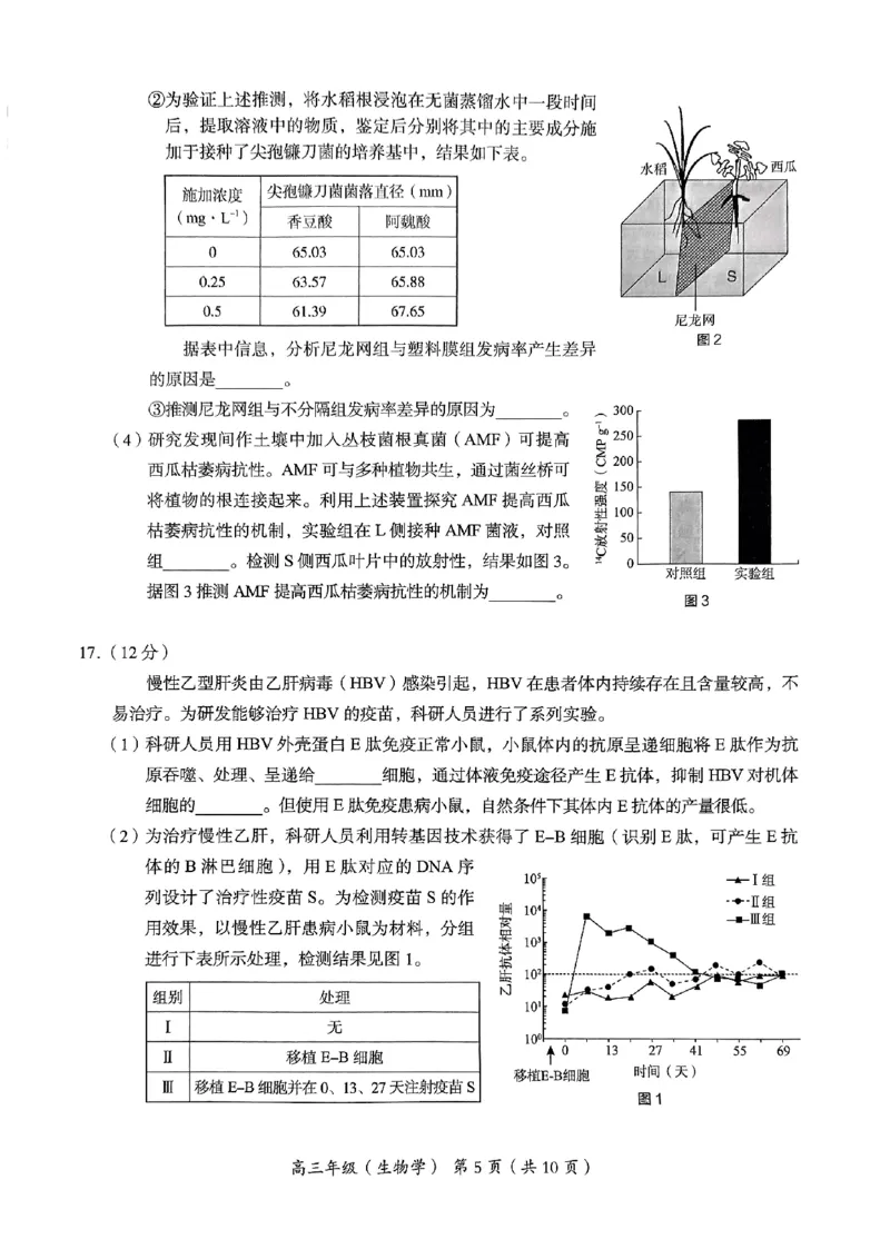 2024北京海淀高三一模生物试题及答案(1)_2024年4月_024月合集_2024届北京市海淀区高三一模