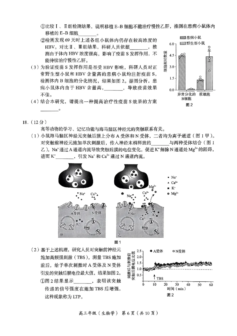 2024北京海淀高三一模生物试题及答案(1)_2024年4月_024月合集_2024届北京市海淀区高三一模