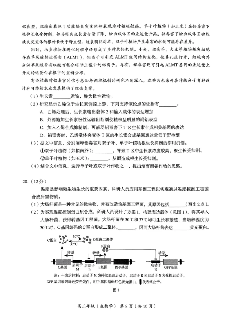 2024北京海淀高三一模生物试题及答案(1)_2024年4月_024月合集_2024届北京市海淀区高三一模