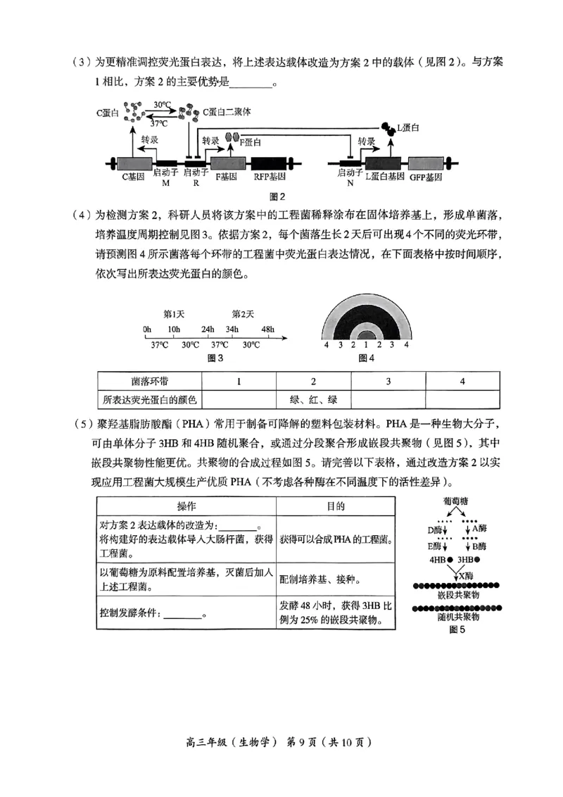 2024北京海淀高三一模生物试题及答案(1)_2024年4月_024月合集_2024届北京市海淀区高三一模