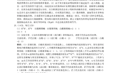 生物答案(1)_2023年10月_0210月合集_2024届陕西省菁师联盟高三10月质量监测考试_陕西省菁师联盟2024届高三10月质量监测考试生物