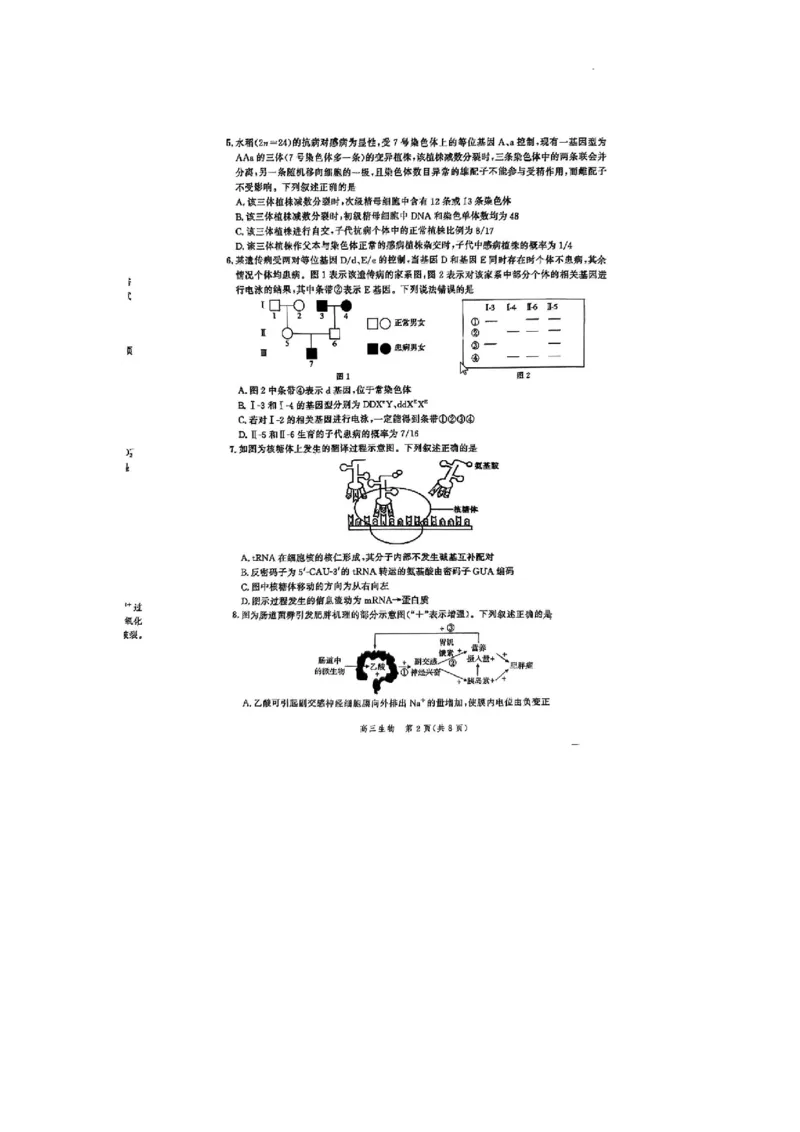 2024届河北省高三大数据应用调研联合测评八生物试题_2024年5月_01按日期_23号_2024届河北省高三大数据应用调研联合测评（Ⅷ）