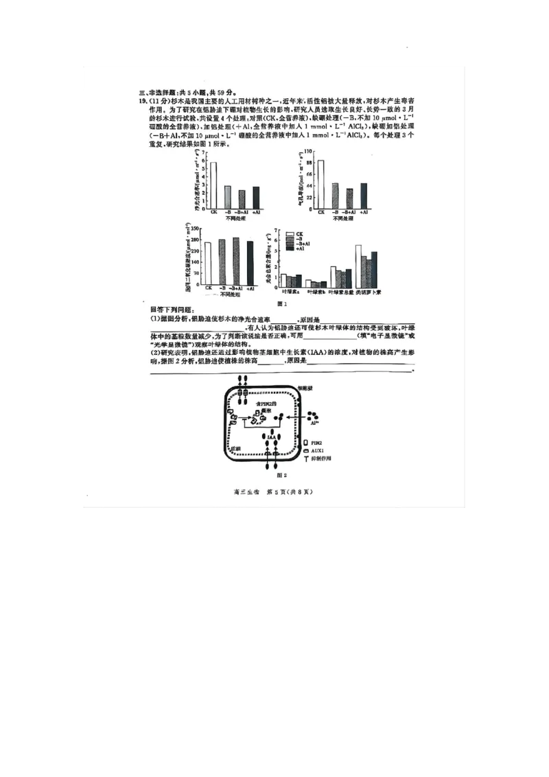 2024届河北省高三大数据应用调研联合测评八生物试题_2024年5月_01按日期_23号_2024届河北省高三大数据应用调研联合测评（Ⅷ）