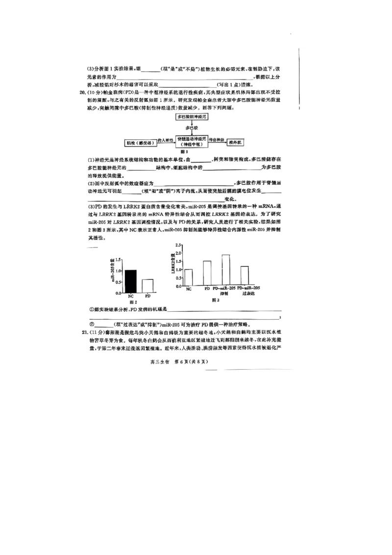 2024届河北省高三大数据应用调研联合测评八生物试题_2024年5月_01按日期_23号_2024届河北省高三大数据应用调研联合测评（Ⅷ）