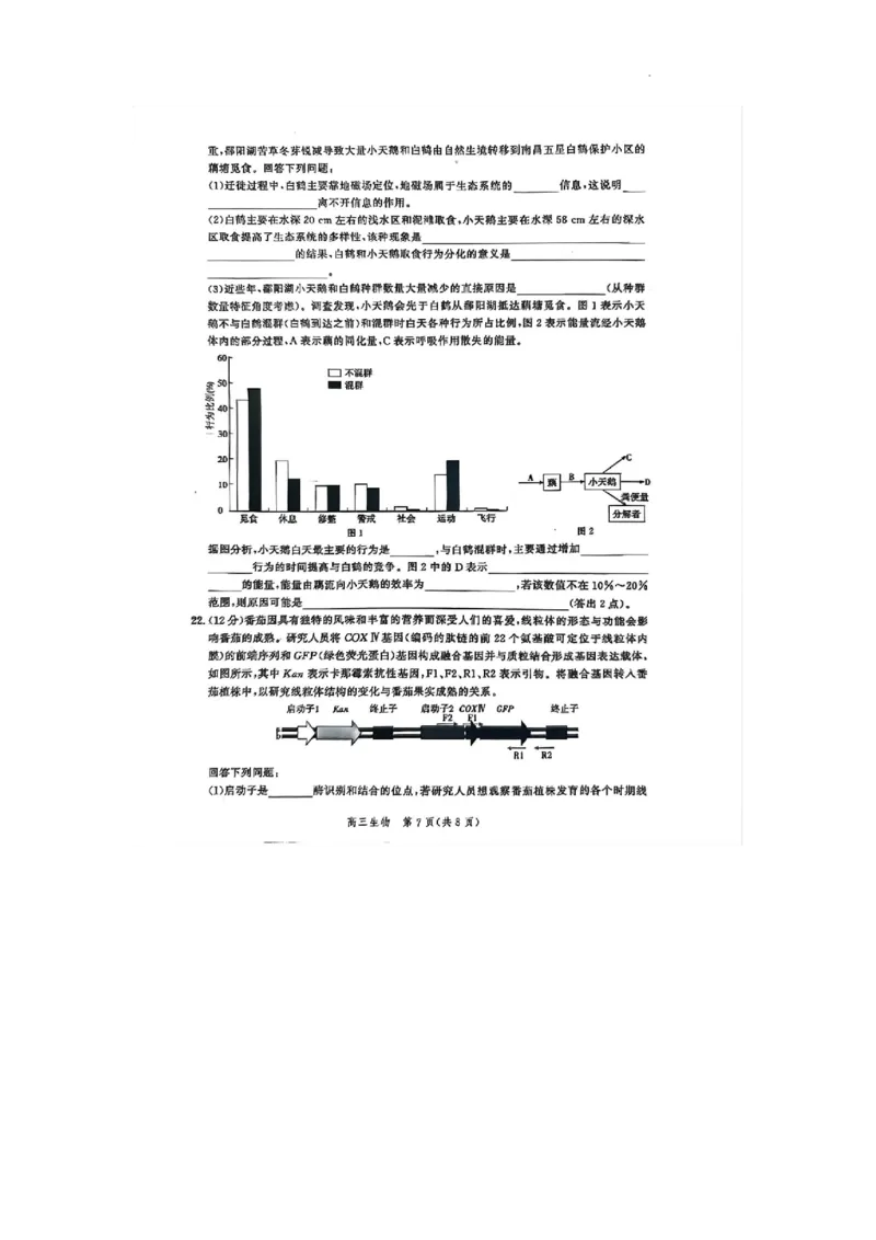 2024届河北省高三大数据应用调研联合测评八生物试题_2024年5月_01按日期_23号_2024届河北省高三大数据应用调研联合测评（Ⅷ）