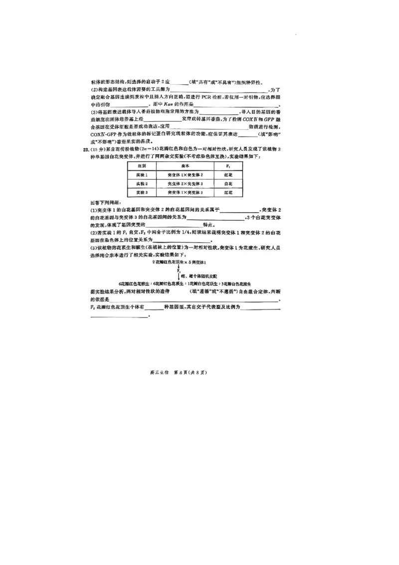 2024届河北省高三大数据应用调研联合测评八生物试题_2024年5月_01按日期_23号_2024届河北省高三大数据应用调研联合测评（Ⅷ）