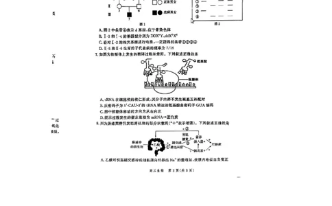 2024届河北省高三大数据应用调研联合测评八生物试题_2024年5月_01按日期_23号_2024届河北省高三大数据应用调研联合测评（Ⅷ）