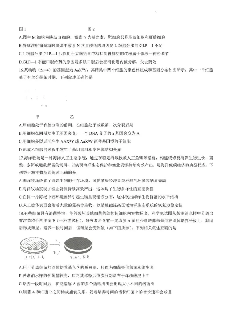河北高三上(开学考)-生物试题+答案(1)_2023年9月_029月合集_2024届河北省高三年级开学检测