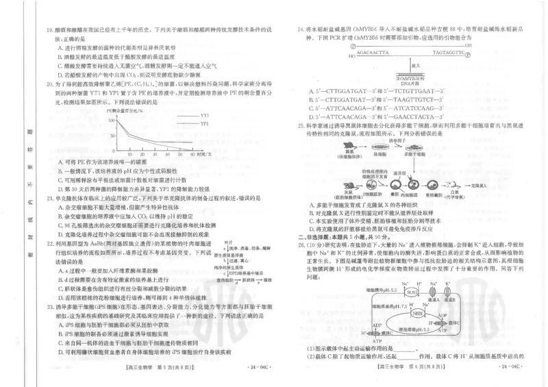 生物试卷_2023年8月_01每日更新_29号_2024届山西省高三金太阳8月联考（24-04C）_山西2024届高三金太阳8月联考（24-04C）生物