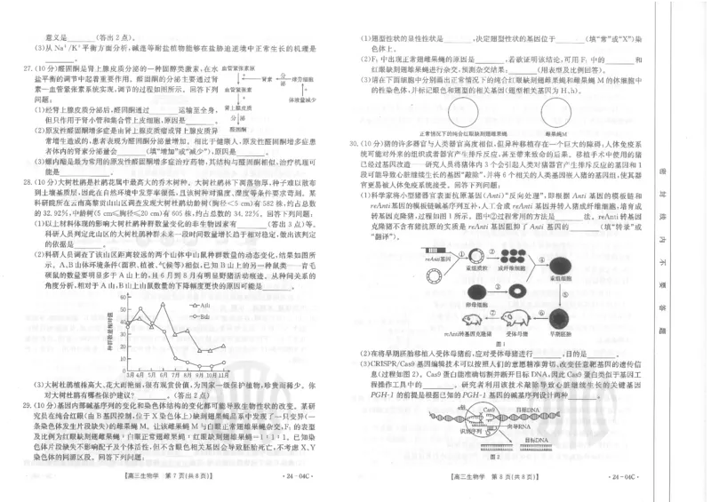 生物试卷_2023年8月_01每日更新_29号_2024届山西省高三金太阳8月联考（24-04C）_山西2024届高三金太阳8月联考（24-04C）生物