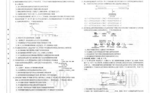 生物试卷_2023年8月_01每日更新_29号_2024届山西省高三金太阳8月联考（24-04C）_山西2024届高三金太阳8月联考（24-04C）生物