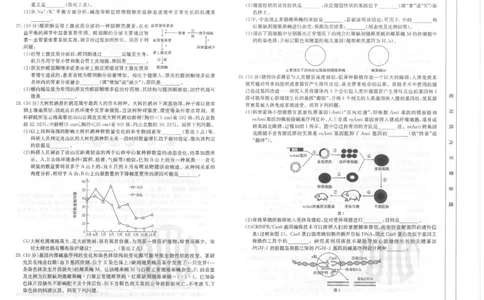 生物试卷_2023年8月_01每日更新_29号_2024届山西省高三金太阳8月联考（24-04C）_山西2024届高三金太阳8月联考（24-04C）生物
