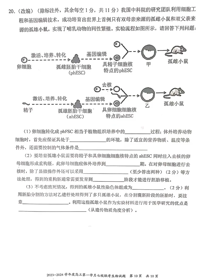 重庆市七校2023-2024学年高三上学期第一次月考生物试题(1)_2023年10月_0210月合集_2024届重庆市七校高三上学期第一次月考_重庆市七校2024届高三上学期第一次月考生物