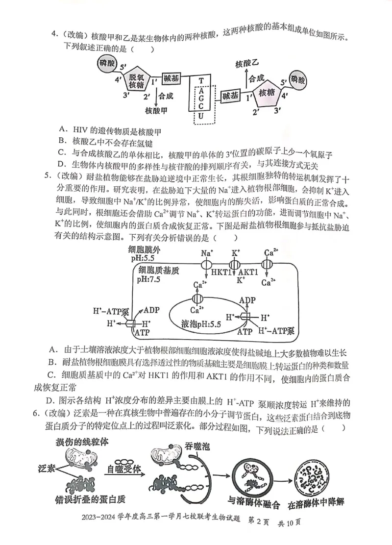 重庆市七校2023-2024学年高三上学期第一次月考生物试题(1)_2023年10月_0210月合集_2024届重庆市七校高三上学期第一次月考_重庆市七校2024届高三上学期第一次月考生物