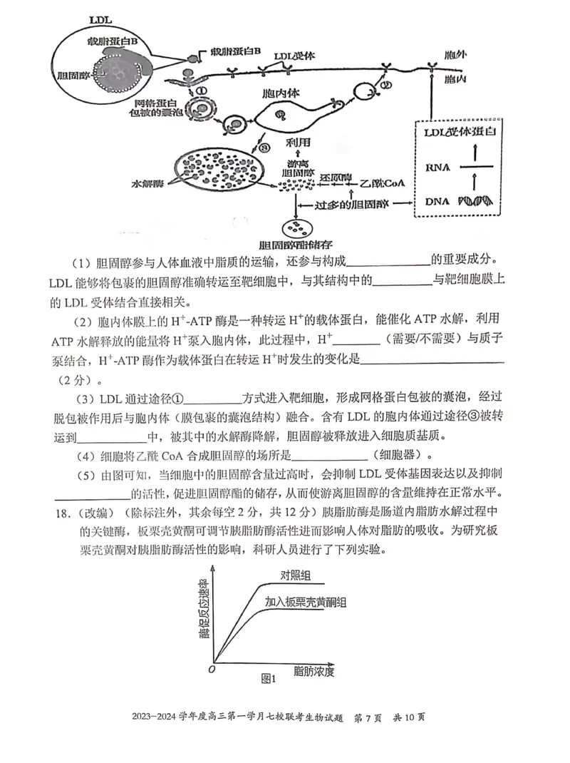 重庆市七校2023-2024学年高三上学期第一次月考生物试题(1)_2023年10月_0210月合集_2024届重庆市七校高三上学期第一次月考_重庆市七校2024届高三上学期第一次月考生物