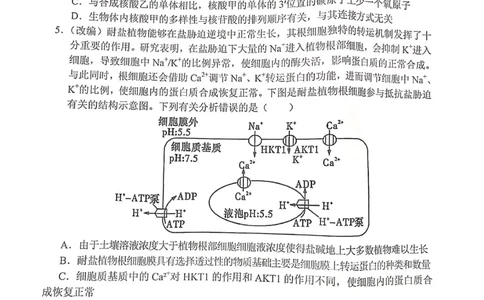 重庆市七校2023-2024学年高三上学期第一次月考生物试题(1)_2023年10月_0210月合集_2024届重庆市七校高三上学期第一次月考_重庆市七校2024届高三上学期第一次月考生物