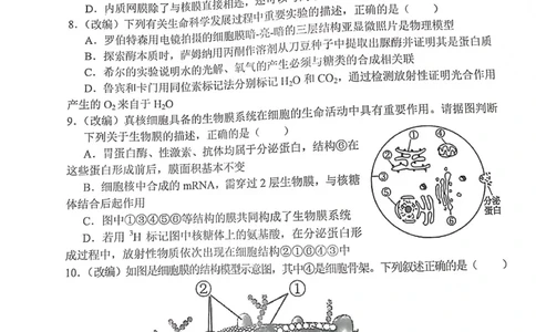 重庆市七校2023-2024学年高三上学期第一次月考生物试题(1)_2023年10月_0210月合集_2024届重庆市七校高三上学期第一次月考_重庆市七校2024届高三上学期第一次月考生物