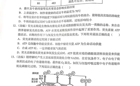 重庆市七校2023-2024学年高三上学期第一次月考生物试题(1)_2023年10月_0210月合集_2024届重庆市七校高三上学期第一次月考_重庆市七校2024届高三上学期第一次月考生物