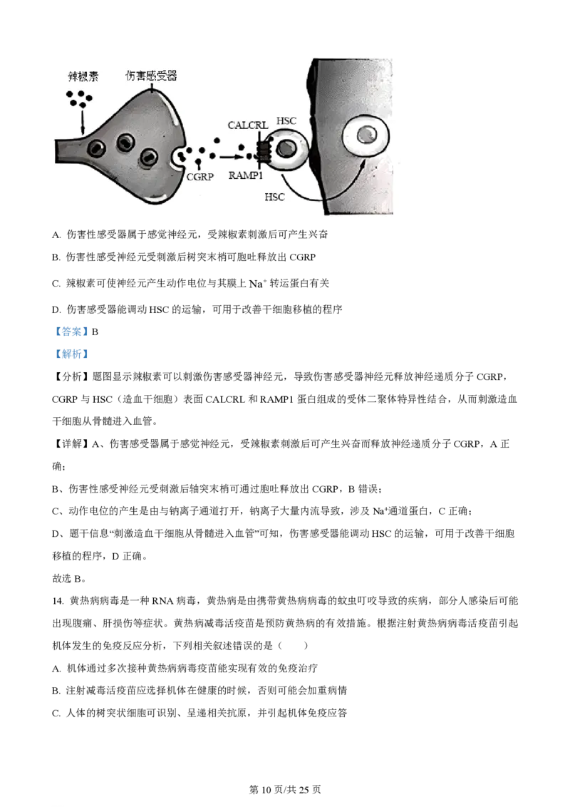 陕西金科联考高三上（开学考）-生物试题+答案(1)_2023年9月_029月合集_2024届山西省金科大联考高三上学期开学检测