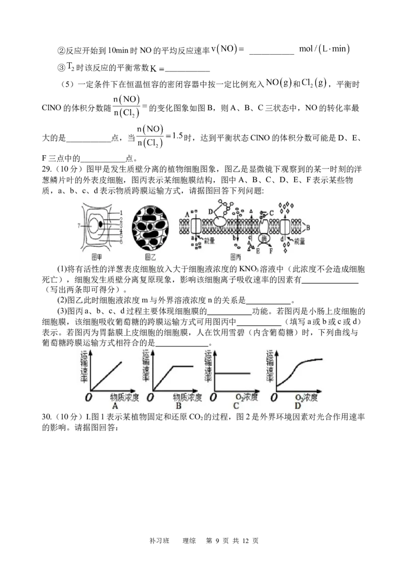 理综试题（补习班）_2023年9月_01每日更新_8号_2024届四川省射洪中学高三上学期开学考试_四川省射洪中学2024届高三上学期开学考试理综