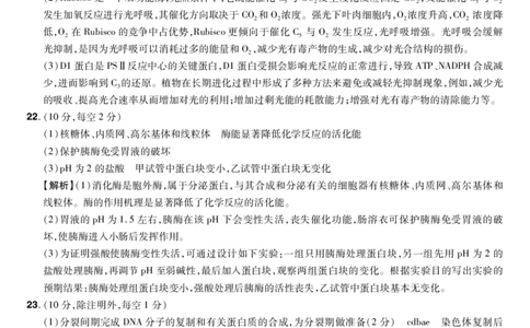 河南省普高联考2023-2024学年高三上学期测评（二）生物答案(1)_2023年10月_01每日更新_6号_2024届河南省普高联考高三上学期测评（二）