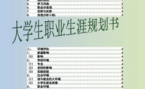 大学生职业生涯规划书电子商务专业1_E6-职业规划_13电子商务专业