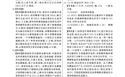 生物学答案(1)_2023年10月_0210月合集_2024届安徽省皖东智校协作联盟高三上学期10月联考_安徽省皖东智校协作联盟2024届高三上学期10月联考生物