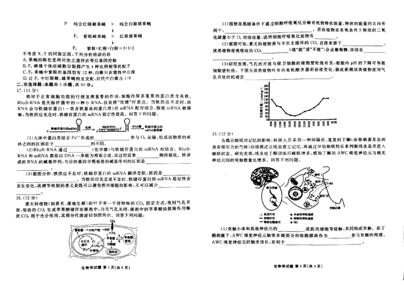 2024届广东省茂名市高三下学期2月大联考生物试题_2024年2月_01每日更新_23号_2024届广东省衡水金卷高三年级2月份大联考_广东省衡水金卷2024届高三年级2月份大联考生物