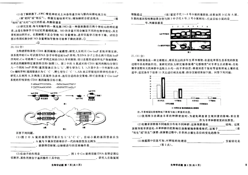 2024届广东省茂名市高三下学期2月大联考生物试题_2024年2月_01每日更新_23号_2024届广东省衡水金卷高三年级2月份大联考_广东省衡水金卷2024届高三年级2月份大联考生物