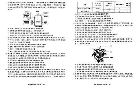 2024届广东省茂名市高三下学期2月大联考生物试题_2024年2月_01每日更新_23号_2024届广东省衡水金卷高三年级2月份大联考_广东省衡水金卷2024届高三年级2月份大联考生物