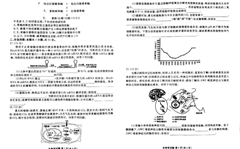 2024届广东省茂名市高三下学期2月大联考生物试题_2024年2月_01每日更新_23号_2024届广东省衡水金卷高三年级2月份大联考_广东省衡水金卷2024届高三年级2月份大联考生物