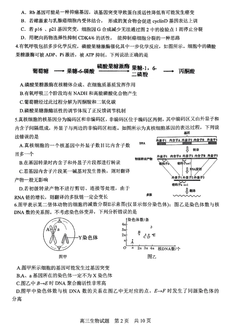 生物试题_2024年6月(1)_026月合集_2024届山东省实验中学高三下学期5月高考模拟_2024届山东省实验中学高三下学期5月高考模拟生物