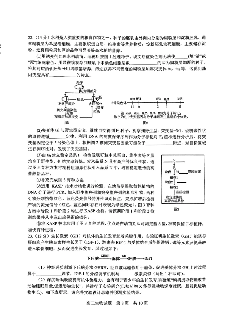 生物试题_2024年6月(1)_026月合集_2024届山东省实验中学高三下学期5月高考模拟_2024届山东省实验中学高三下学期5月高考模拟生物