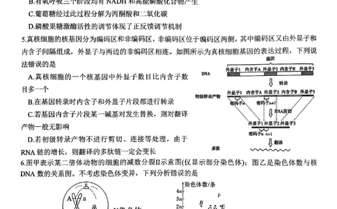 生物试题_2024年6月(1)_026月合集_2024届山东省实验中学高三下学期5月高考模拟_2024届山东省实验中学高三下学期5月高考模拟生物