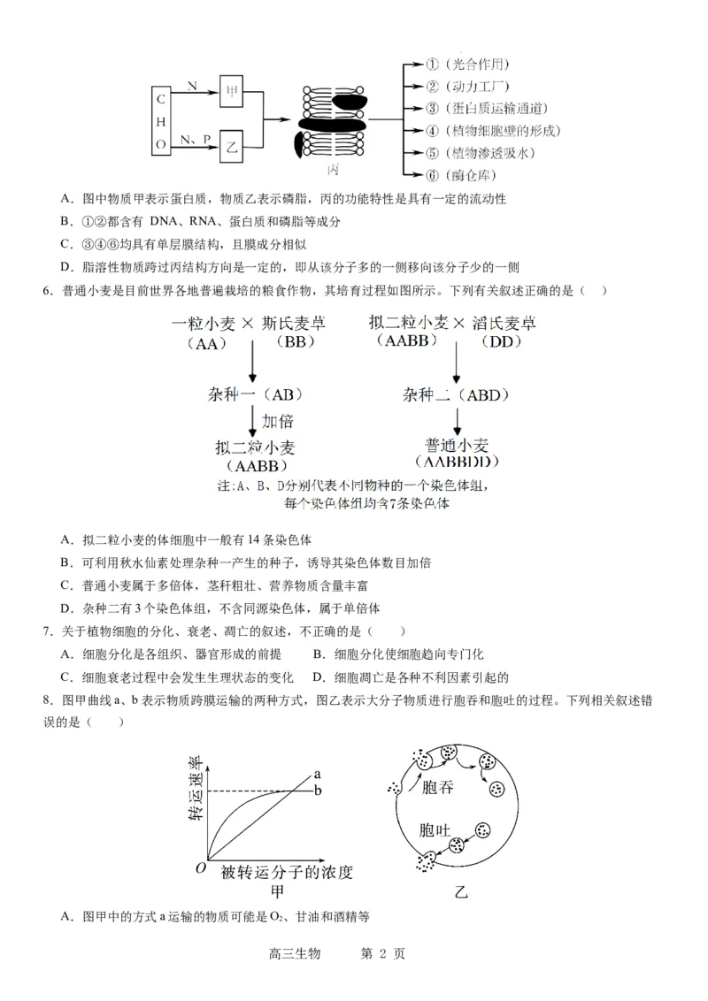 本溪高中2023-2024学年度高考适应性测试（一）生物试题(1)_2023年8月_028月合集_2024届辽宁省本溪市高级中学年高三上学期适应性测试（一）