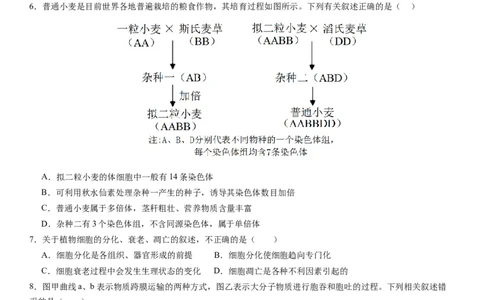 本溪高中2023-2024学年度高考适应性测试（一）生物试题(1)_2023年8月_028月合集_2024届辽宁省本溪市高级中学年高三上学期适应性测试（一）