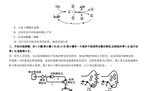 本溪高中2023-2024学年度高考适应性测试（一）生物试题(1)_2023年8月_028月合集_2024届辽宁省本溪市高级中学年高三上学期适应性测试（一）
