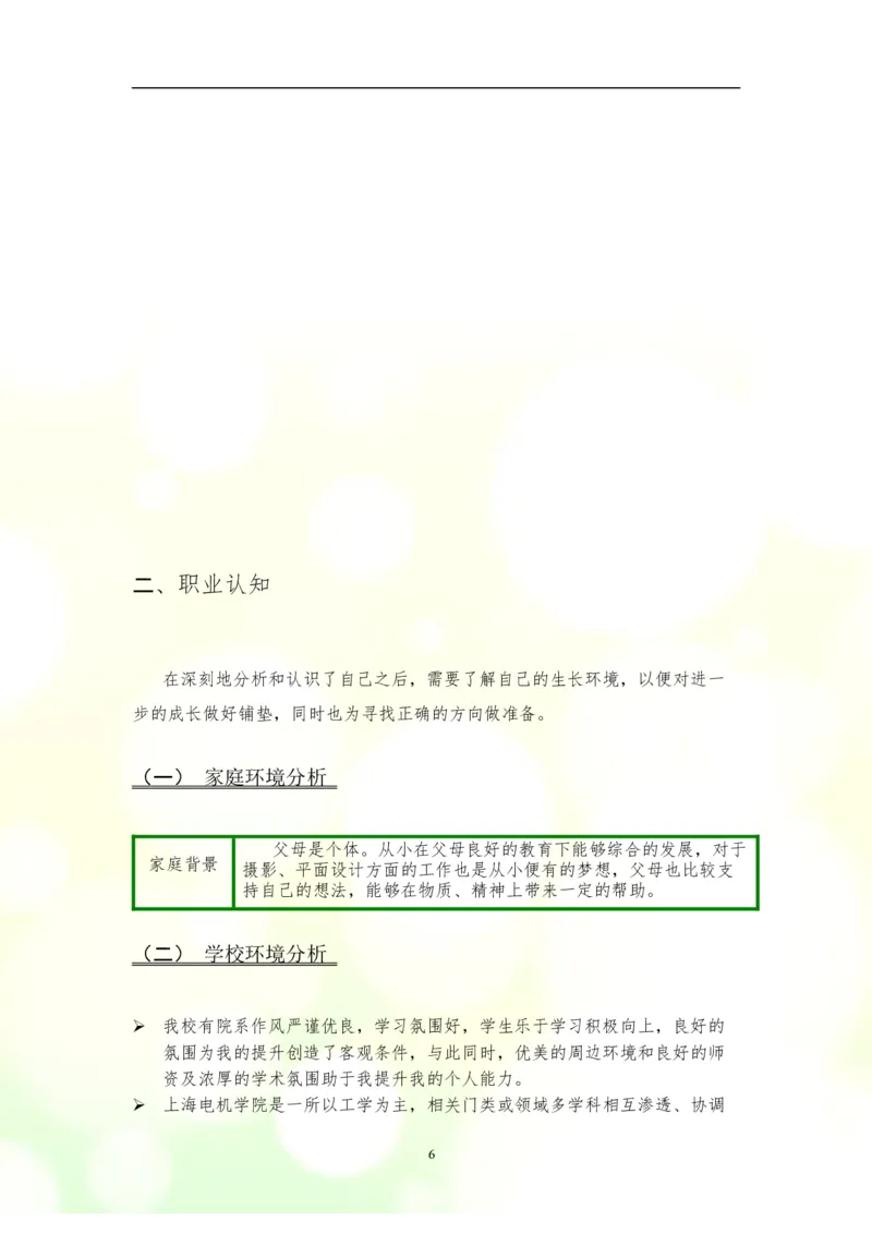 大学生职业生涯规划书--平面设计师模板(2)_E6-职业规划_08平面设计专业