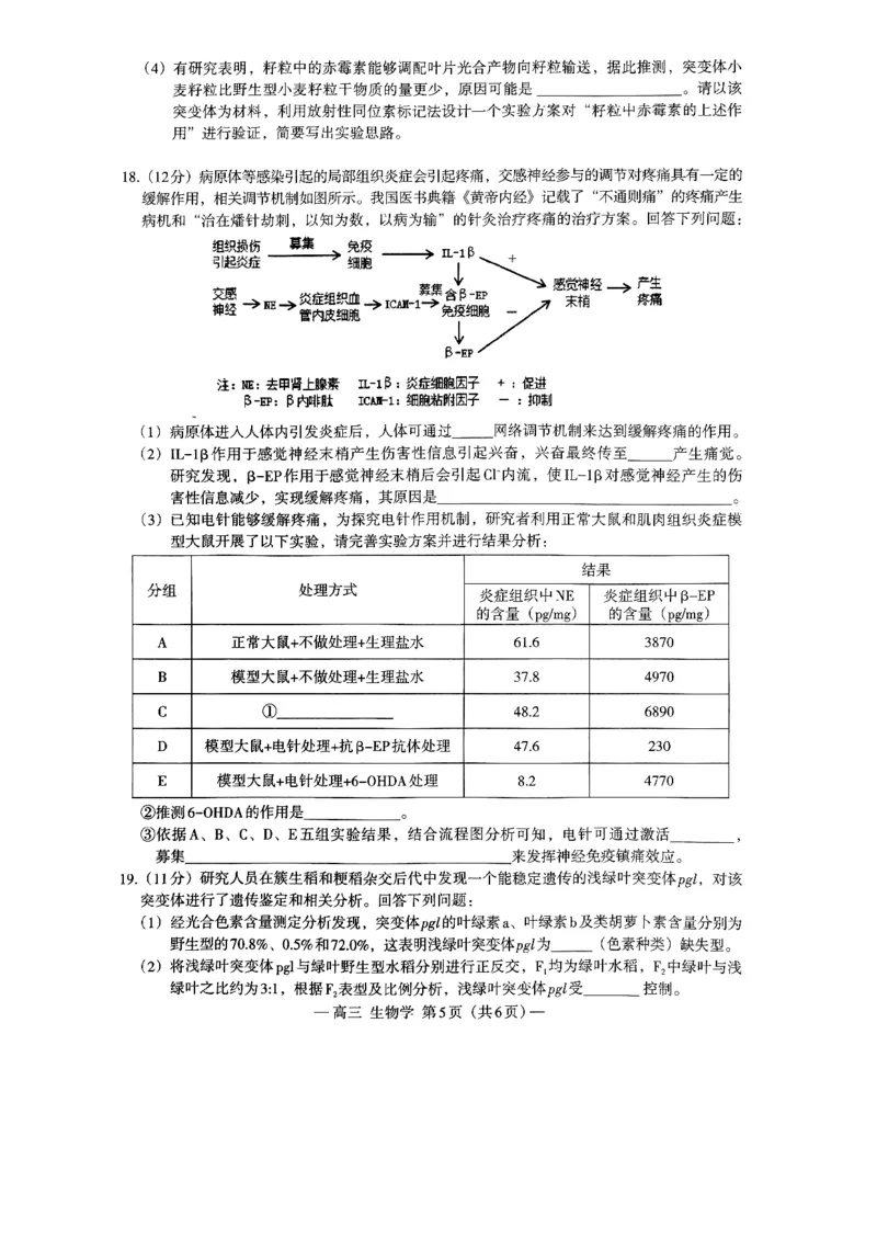 2024届江西省南昌市HGT高三第一次模拟考试-生物(1)_2024年3月_013月合集_2024届江西省南昌市HGT高三第一次模拟考试