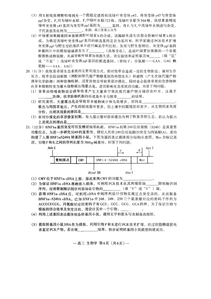 2024届江西省南昌市HGT高三第一次模拟考试-生物(1)_2024年3月_013月合集_2024届江西省南昌市HGT高三第一次模拟考试