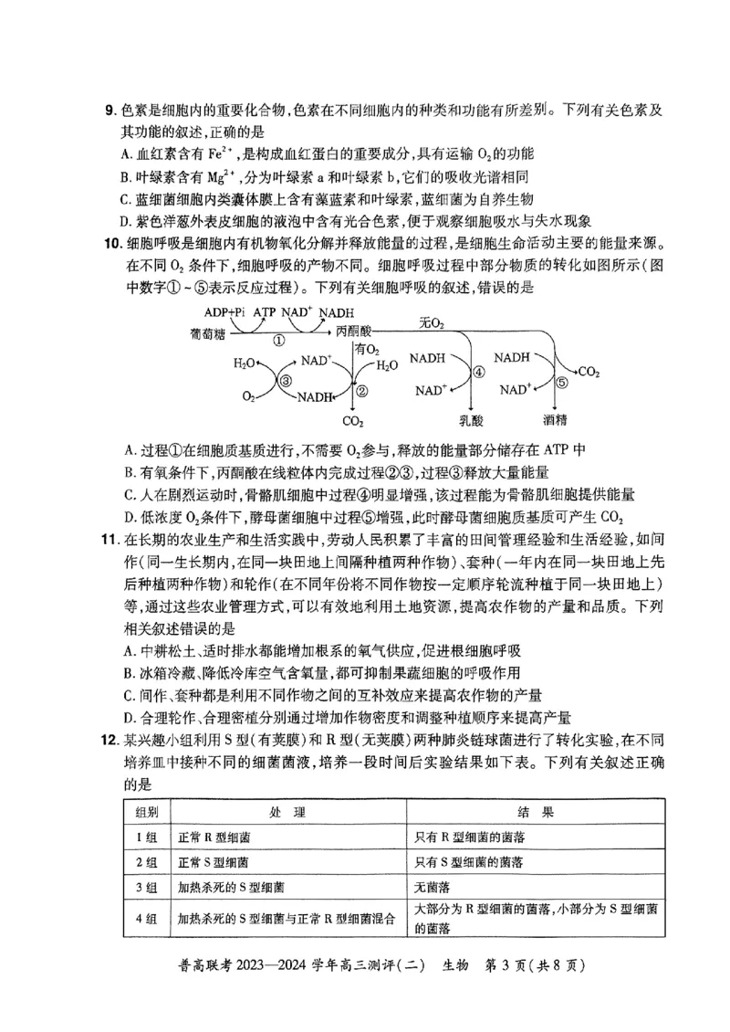 河南省普高联考2023-2024学年高三上学期测评（二）生物(1)_2023年10月_01每日更新_6号_2024届河南省普高联考高三上学期测评（二）