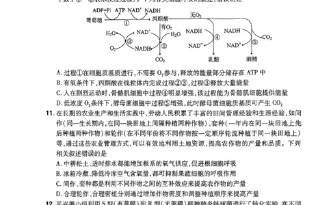 河南省普高联考2023-2024学年高三上学期测评（二）生物(1)_2023年10月_01每日更新_6号_2024届河南省普高联考高三上学期测评（二）