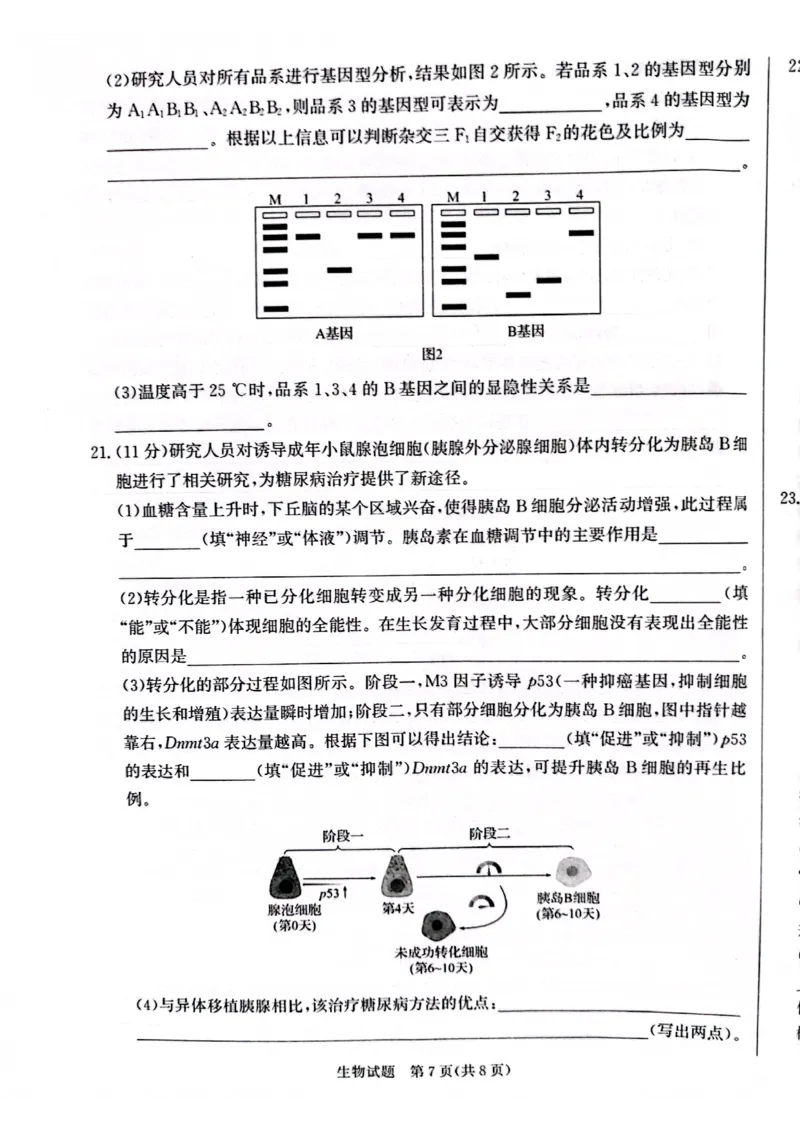 河北省邯郸市2024届高三上学期第一次调研监测生物(1)_2023年9月_029月合集_2024届河北省邯郸市高三上学期第一次调研监测