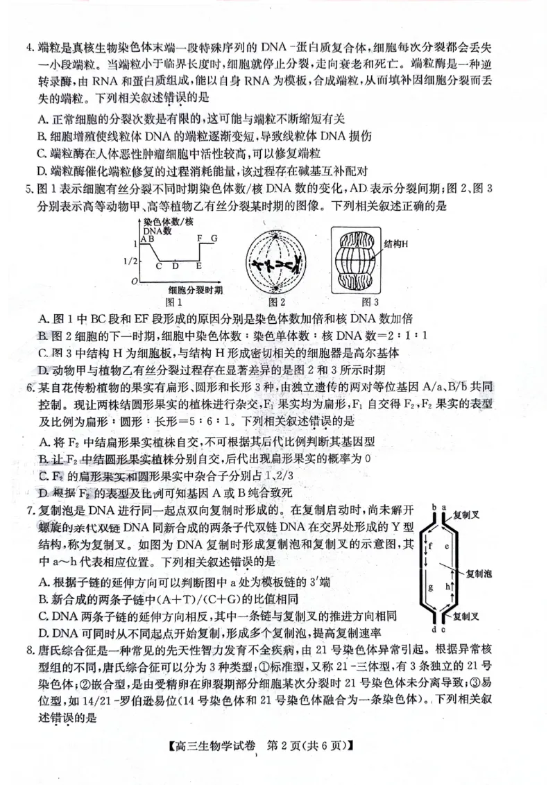 2024届安徽省合肥市高三下学期适应性联考生物试题_2024年5月_01按日期_12号_2024届安徽省合肥一中等校5月高考适应性联考