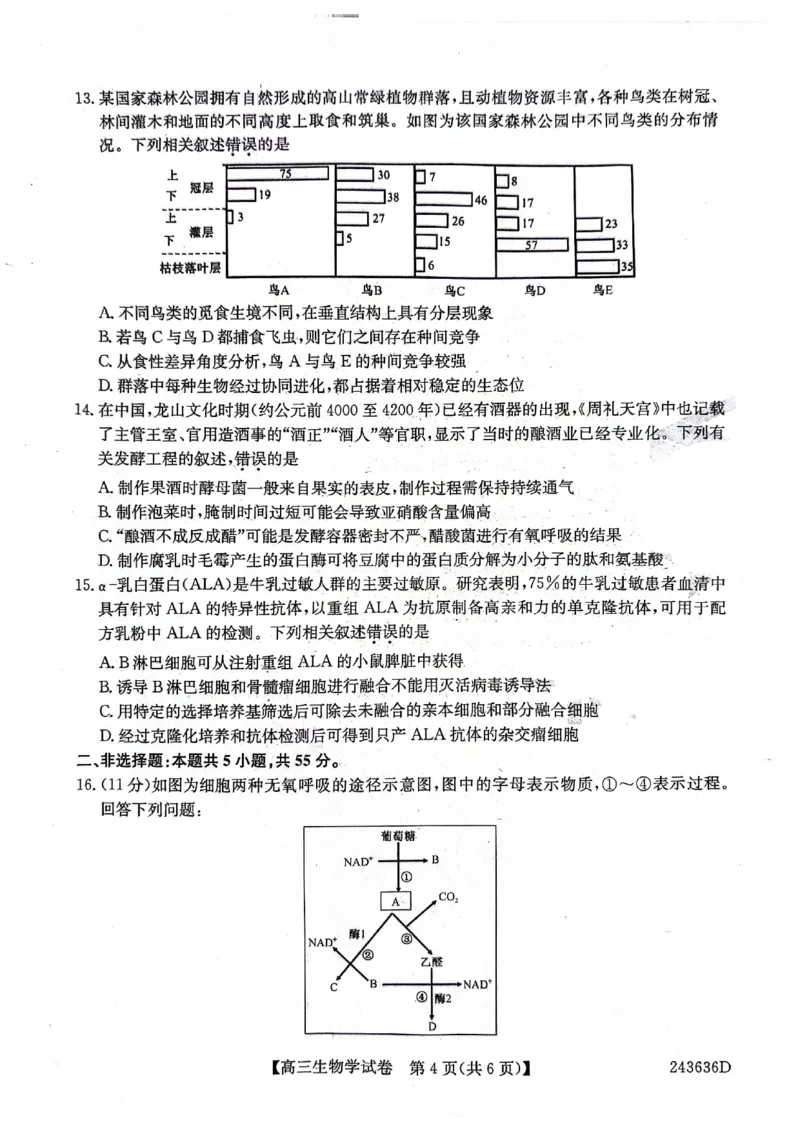 2024届安徽省合肥市高三下学期适应性联考生物试题_2024年5月_01按日期_12号_2024届安徽省合肥一中等校5月高考适应性联考